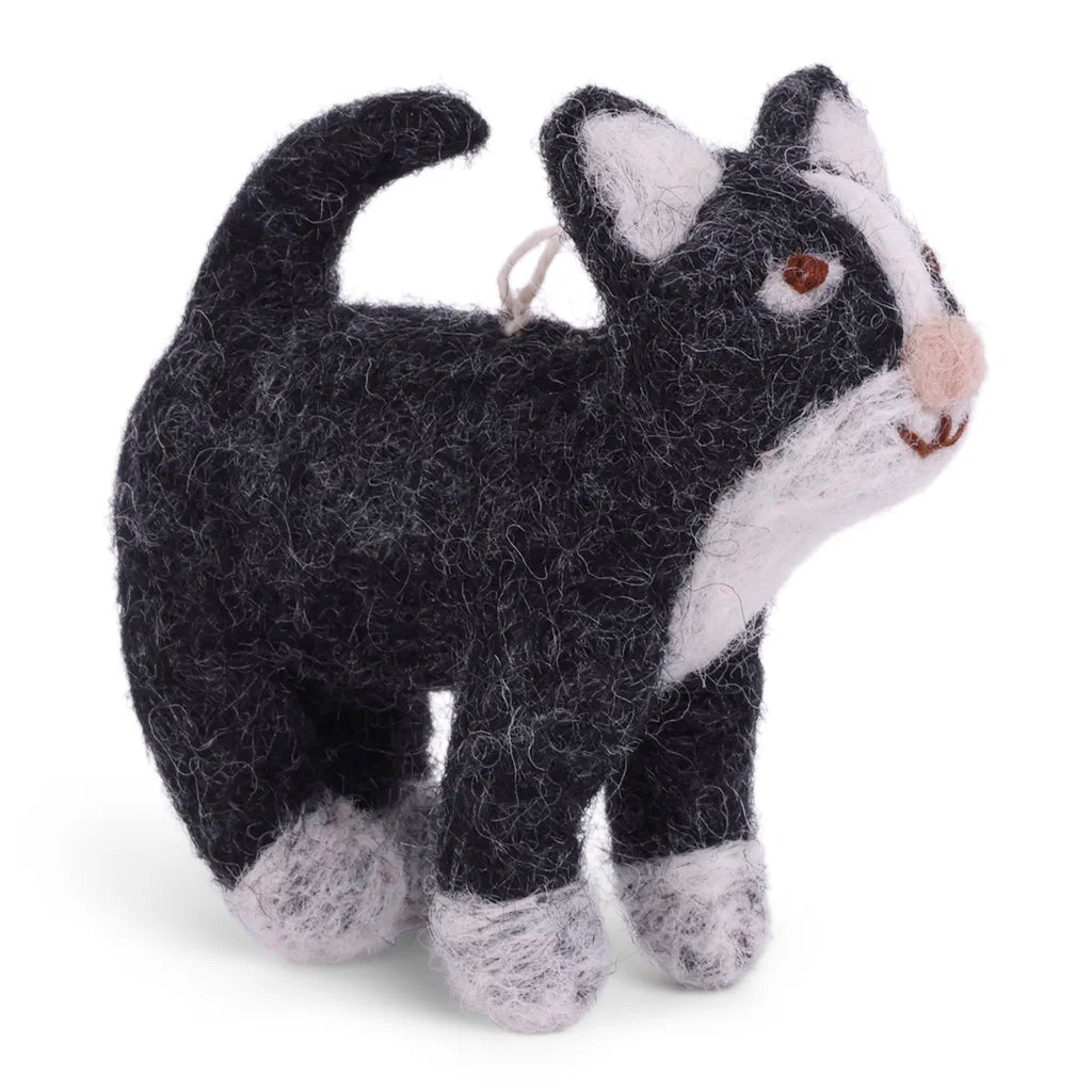 Tovad liten katt