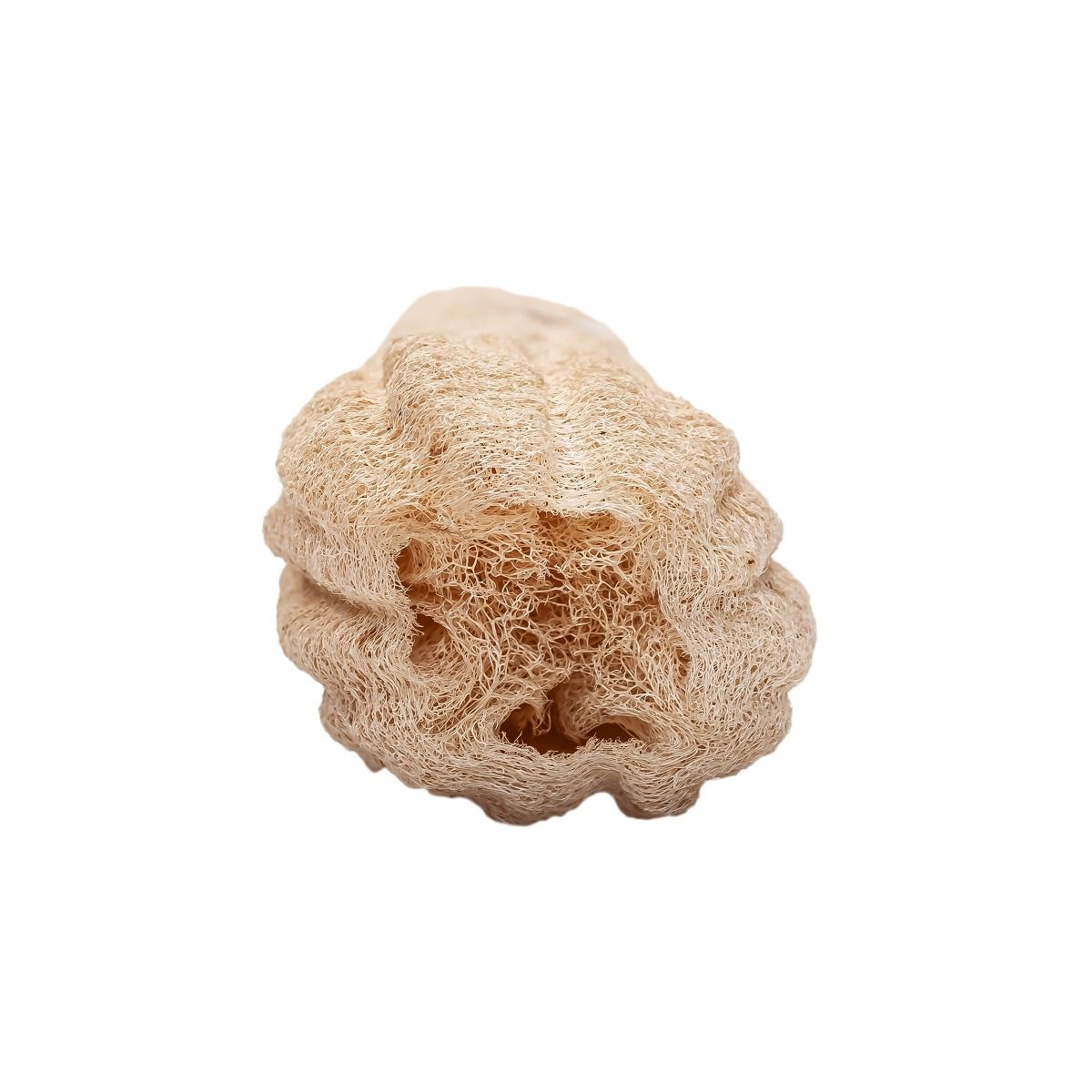 Loofasvamp