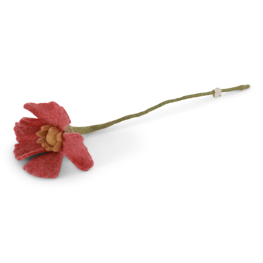 Poppy flower - raspberry red