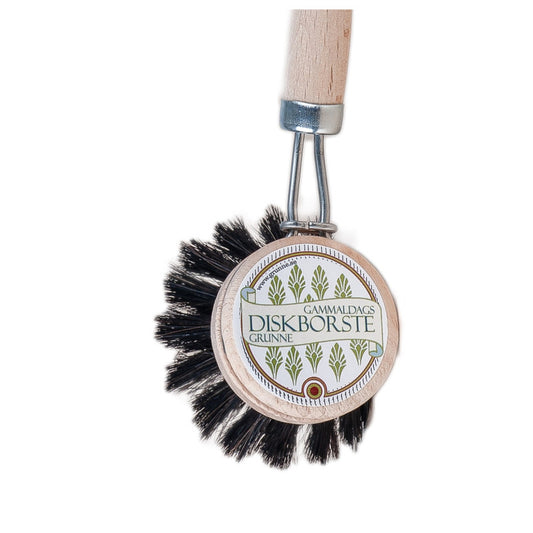 Dish brush
