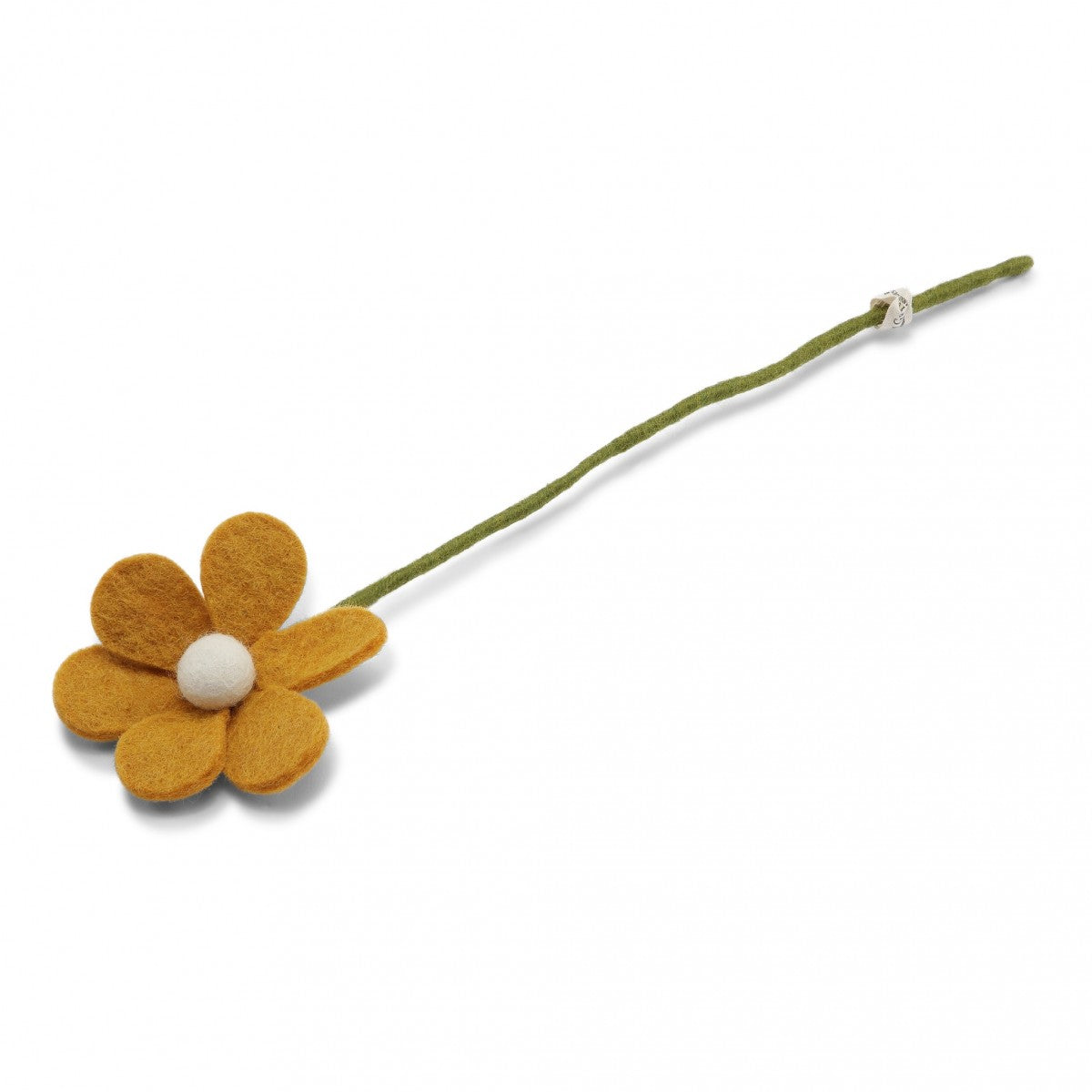 Tovad anemon med stjälk (blomma 5 cm)