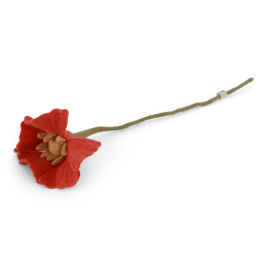 Poppy flower -coral red