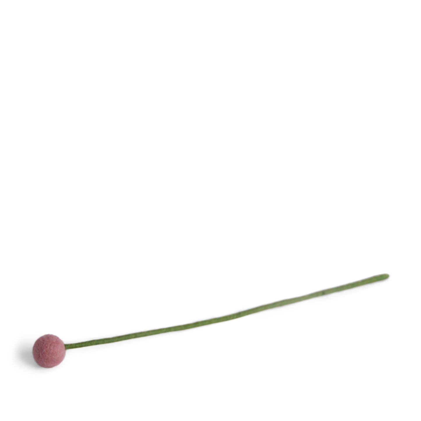 Blomma tovad rosa ekologisk