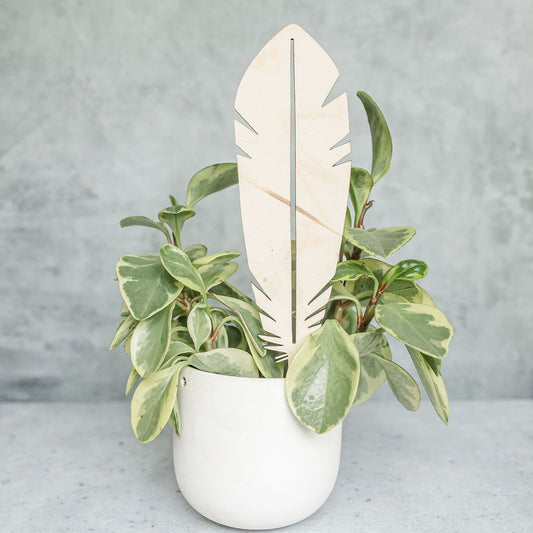 Plant support – "Spring"