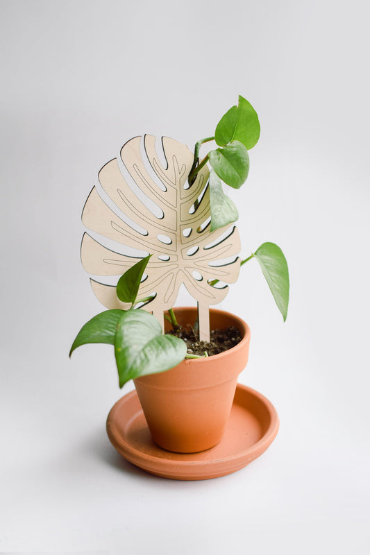 Plant support – "Monstera" Small