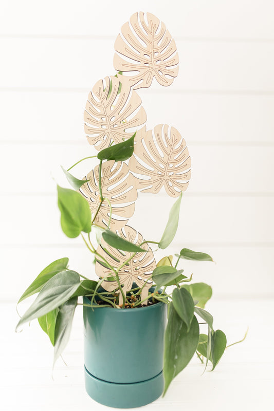 Plant support – "Monstera" Large