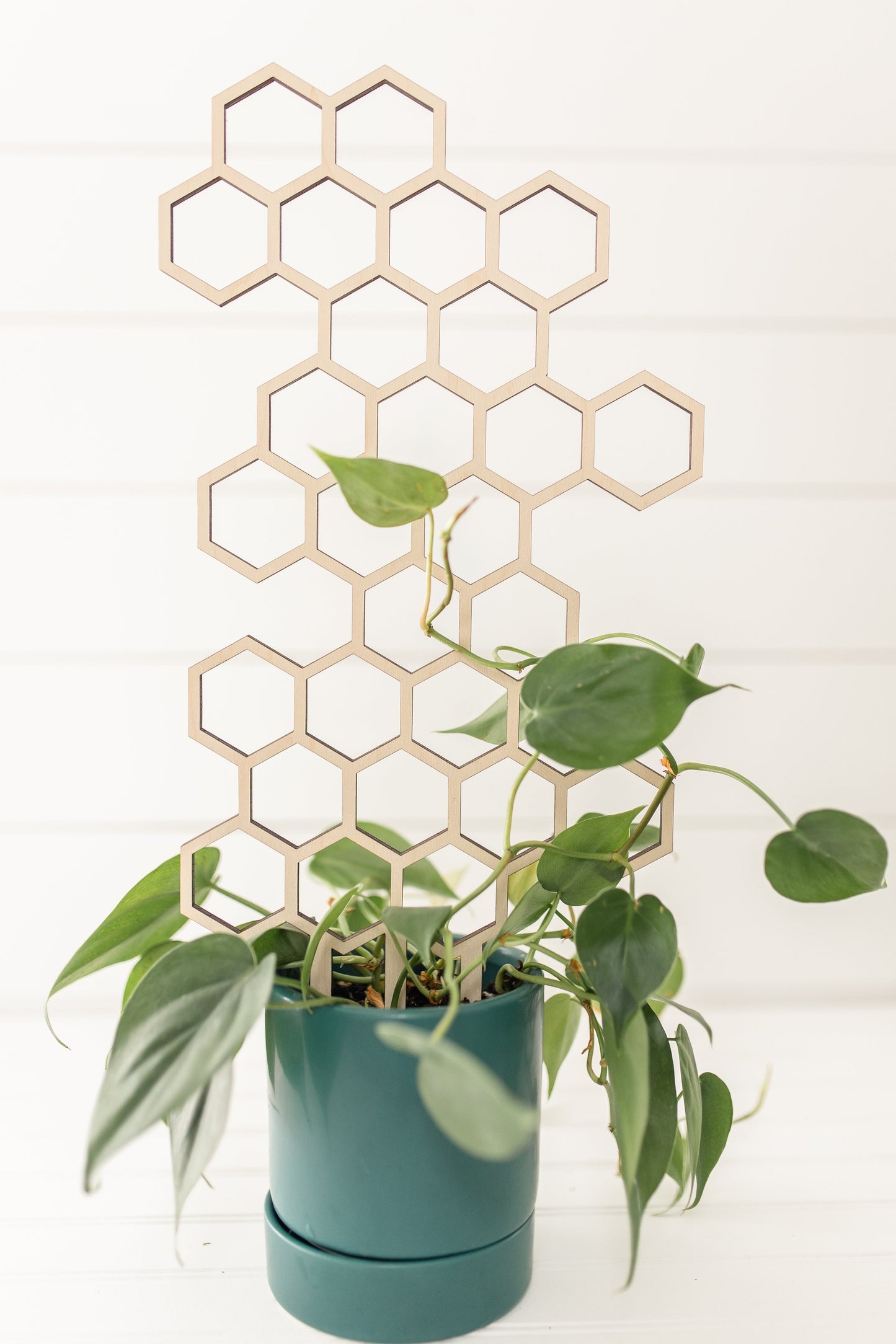 Växtstöd – "Bivax" Stor