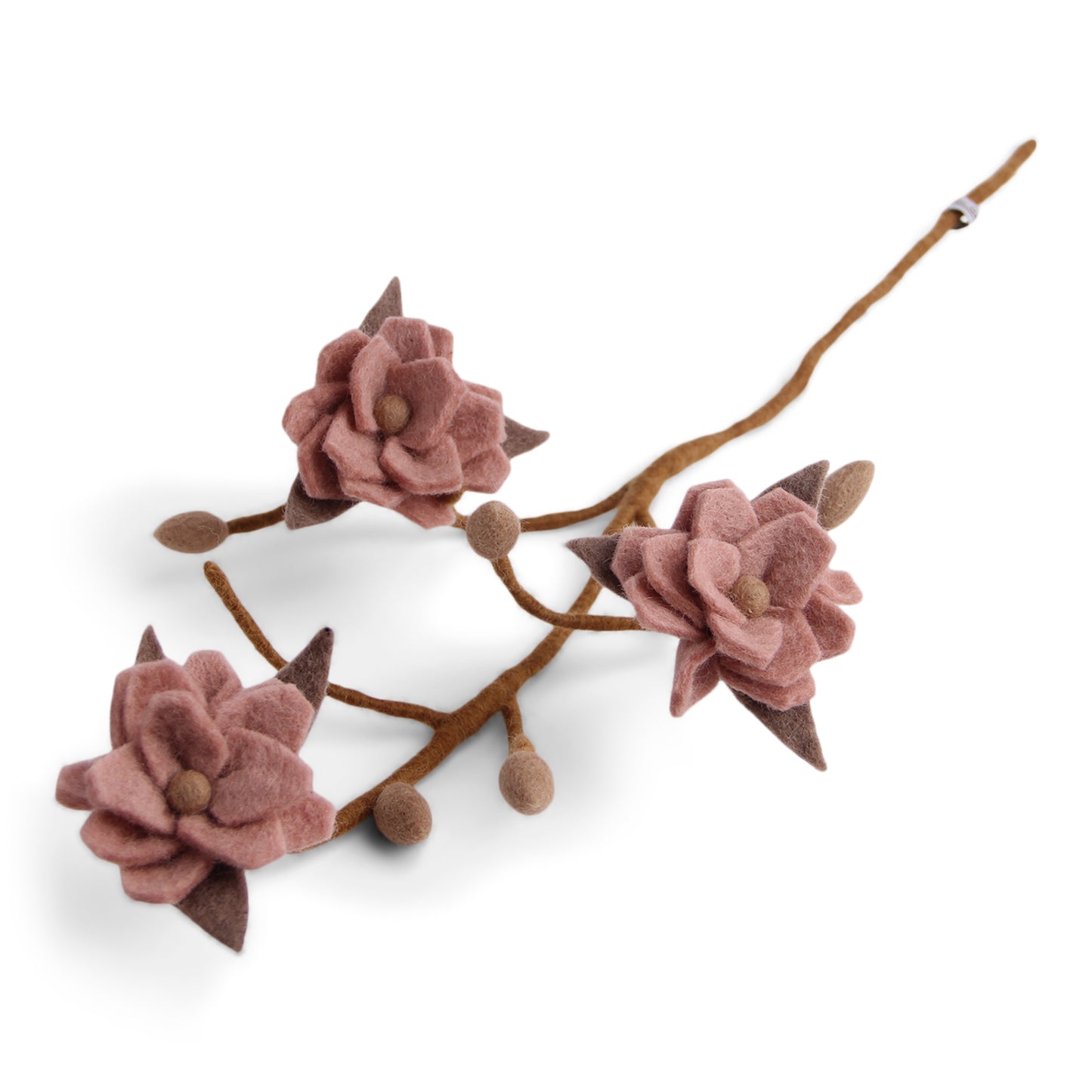 Tovad gren med rosa blommor - Magnolia ekologisk