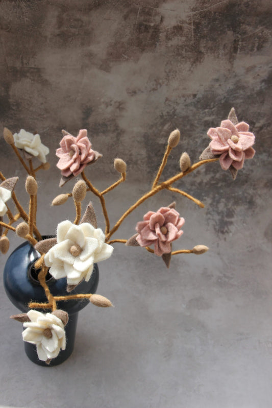 Tovad gren med vita blommor - Magnolia ekologisk