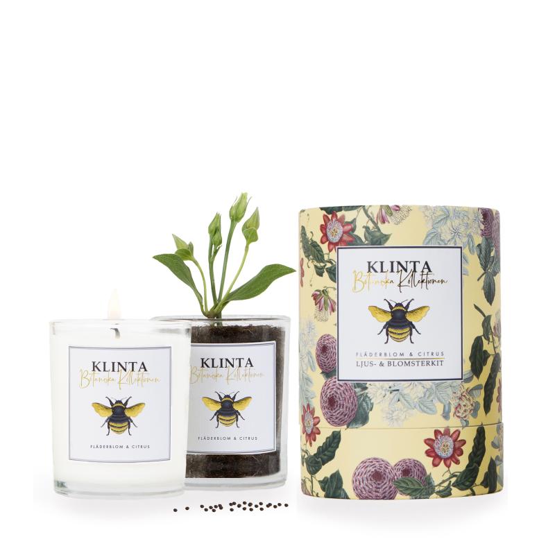 Scented candles - Botanical collection