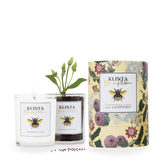 Scented candles - Botanical collection