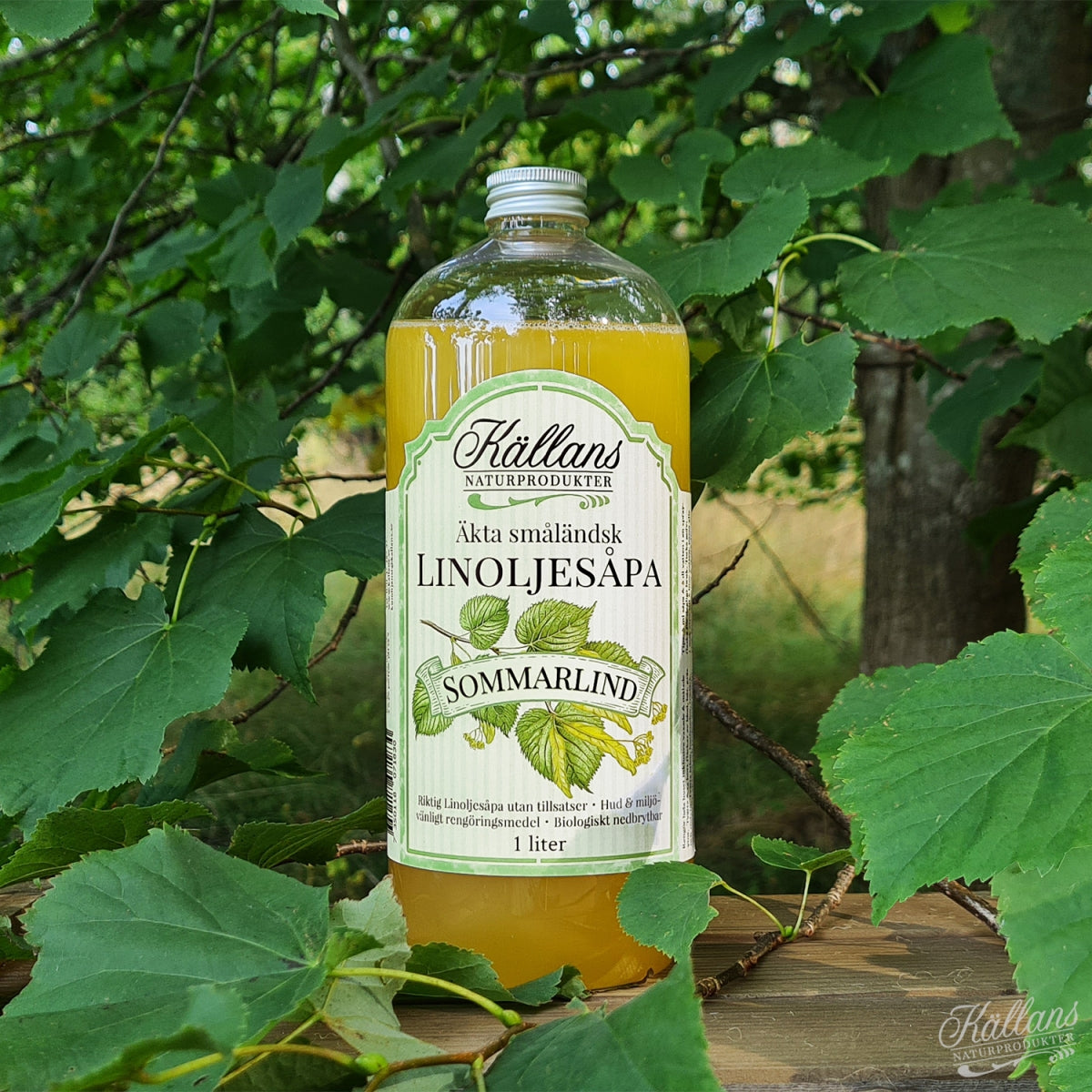 linoljesapa-sommarlind