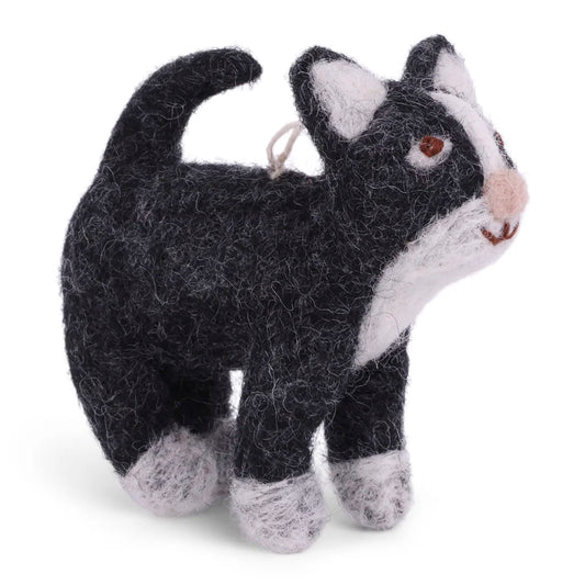 Tovad liten katt