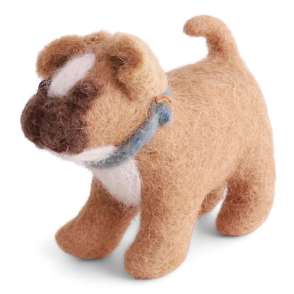 Tovad fransk bulldog med halsband