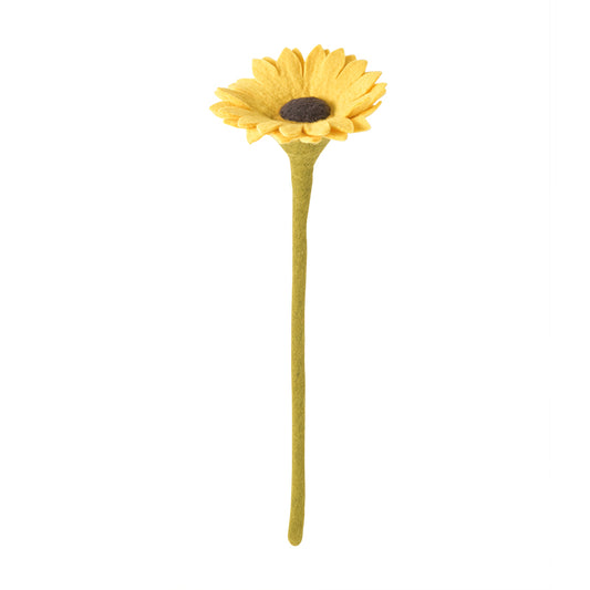 Tovad stor solros