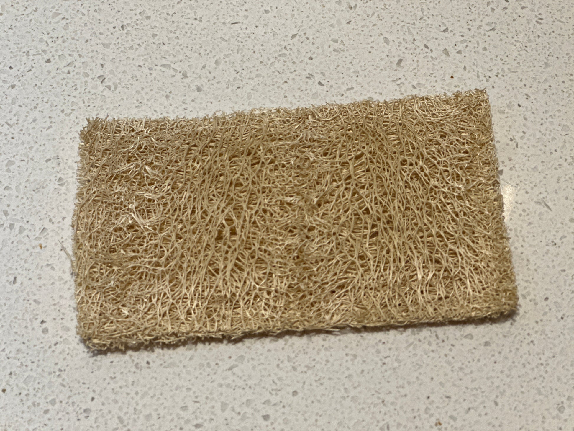 Loofa