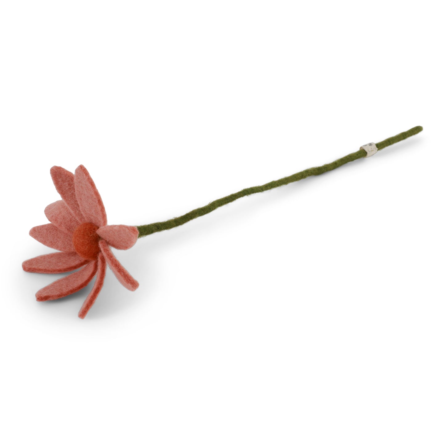 Tovad aprikosfärgad rosenskära