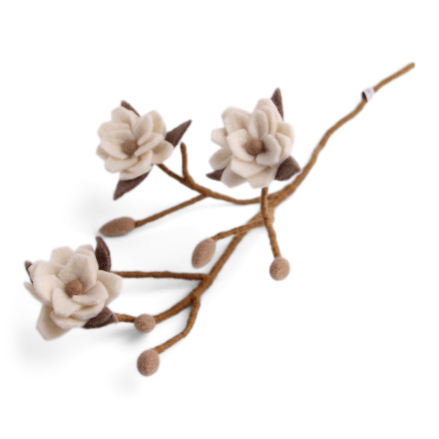 Tovad gren med blommor - Magnolia