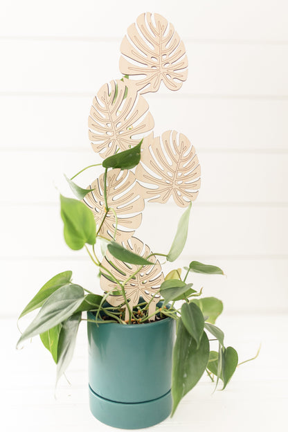 Växtstöd – "Monstera" Stor