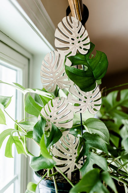 Växtstöd – "Monstera" Stor