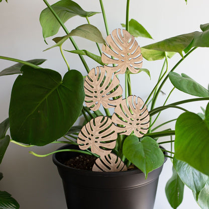 Växtstöd – "Monstera" Stor