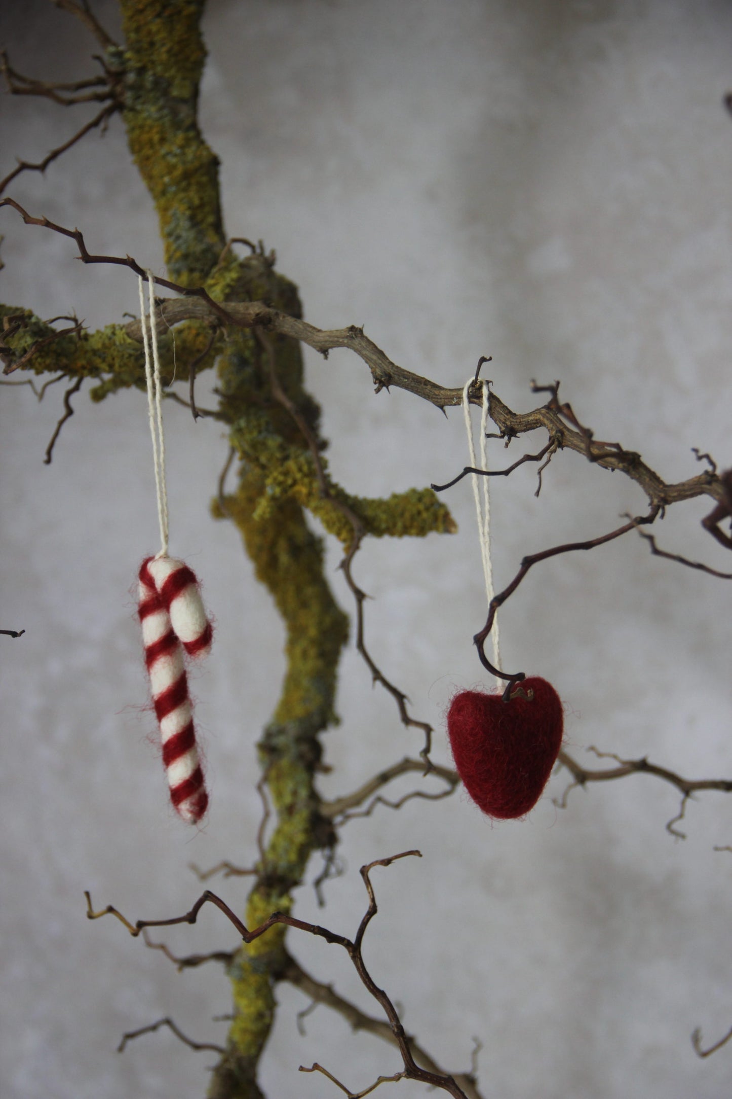 Tovad Candy Cane polka ekologisk
