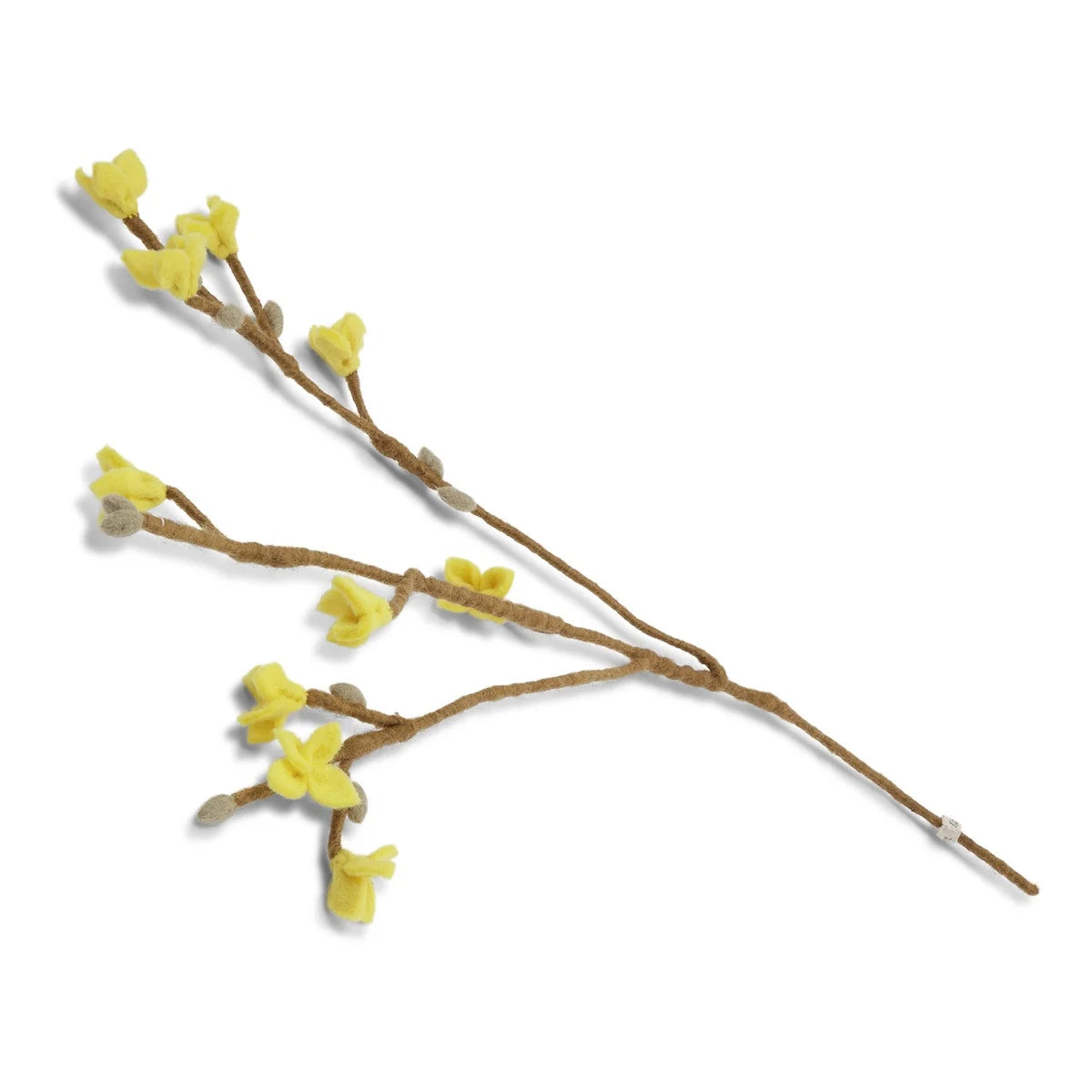 Tovad Forsythia-gren gul ekologisk
