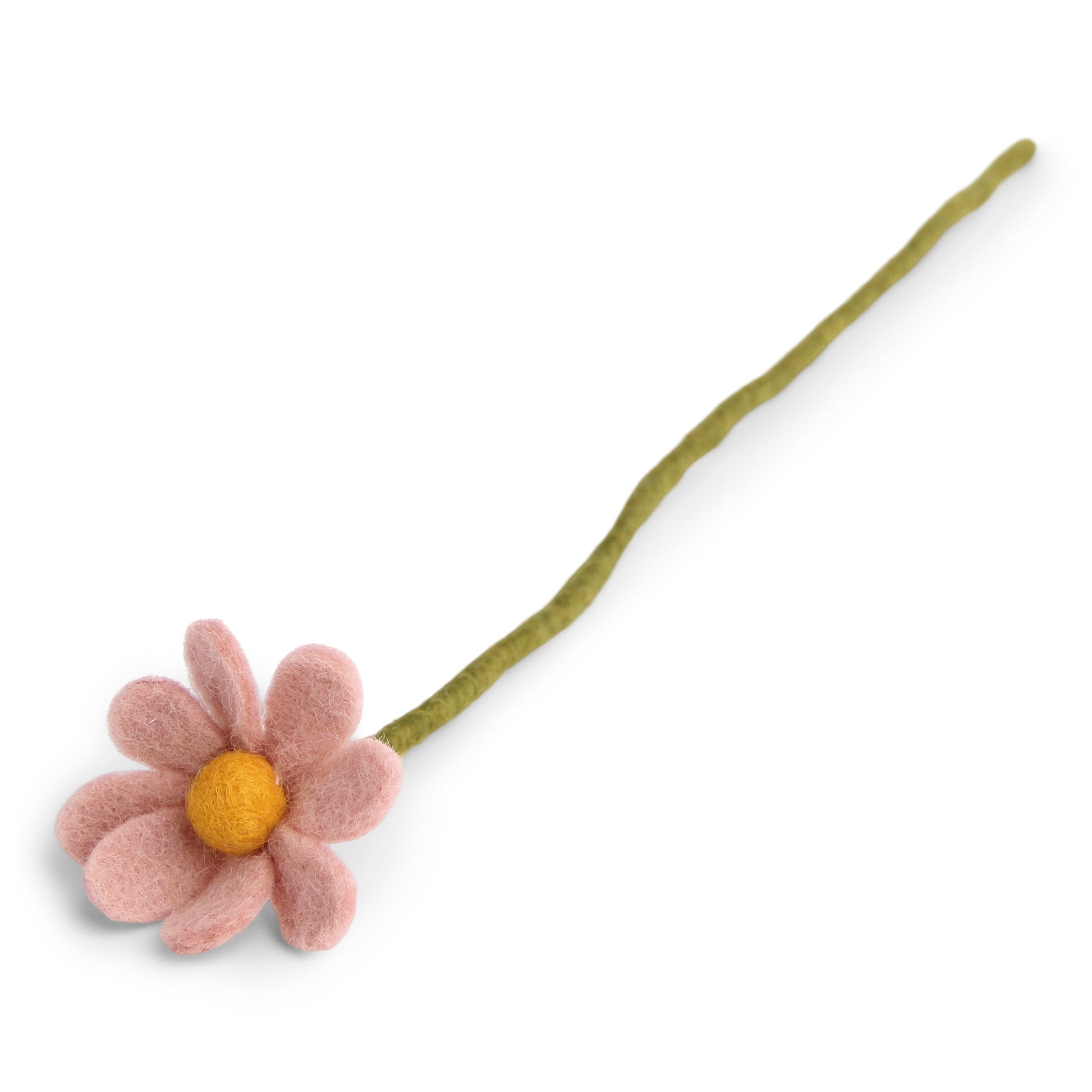 Tovad rosa anemon med stjälk