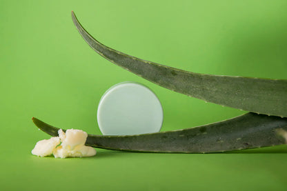 Aloe Vera Love Conditioner Bar