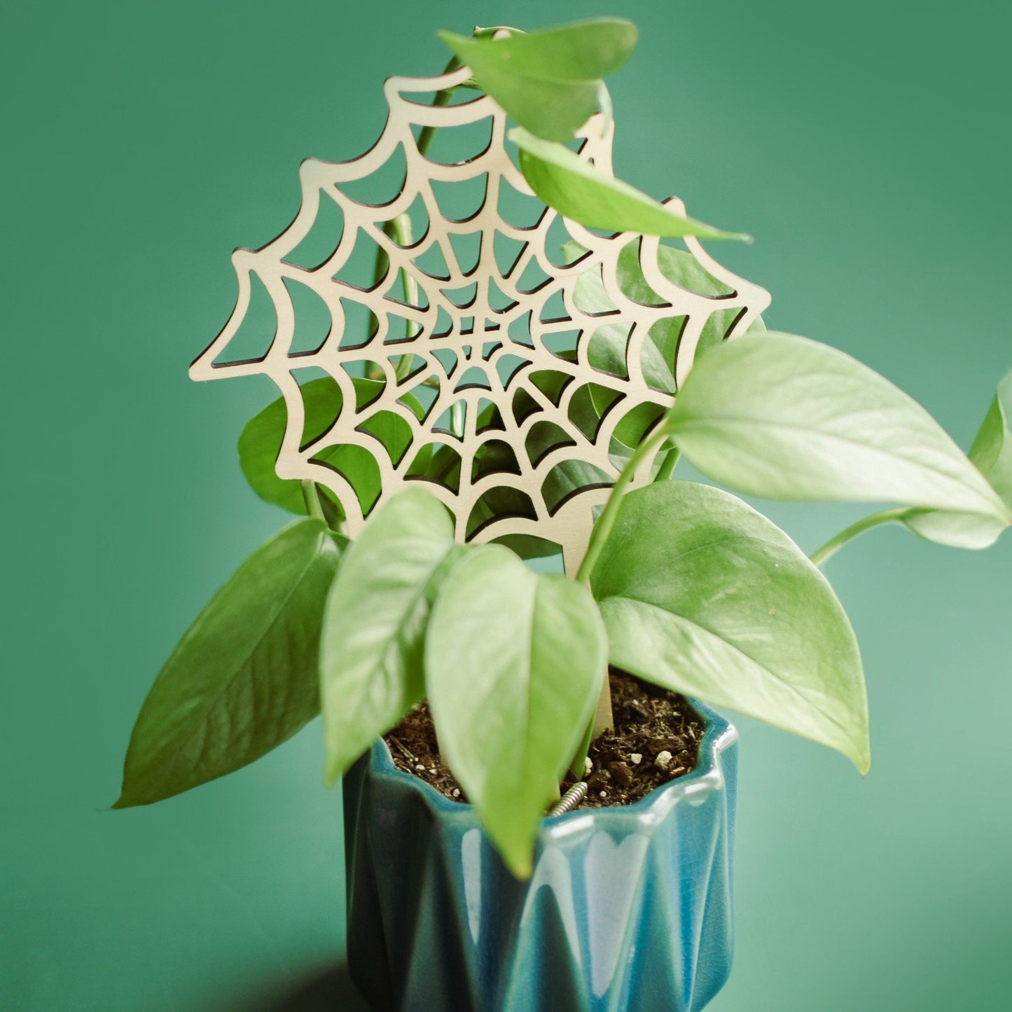 Växtstöd litet - "Spider web"